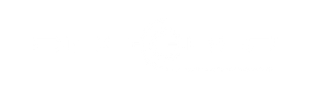 Disc-O-Bed logo